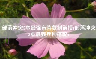 部落冲突5本最强布阵复制链接(部落冲突5本最强兵种搭配)