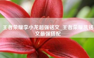 王者荣耀李小龙超强铭文_王者荣耀凯铭文最强搭配