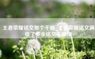 王者荣耀铭文那个干嘛_王者荣耀铭文满级了多余铭文干嘛用