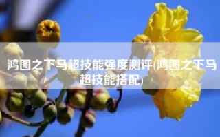 鸿图之下马超技能强度测评(鸿图之下马超技能搭配)
