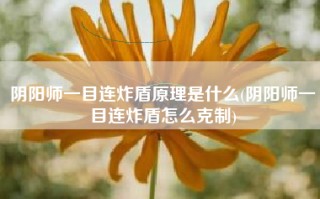 阴阳师一目连炸盾原理是什么(阴阳师一目连炸盾怎么克制)