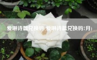 爱琳诗篇兑换码(爱琳诗篇兑换码7月)