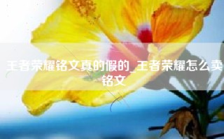 王者荣耀铭文真的假的_王者荣耀怎么卖铭文