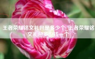 王者荣耀铭文礼包是多少个_王者荣耀铭文礼包多少钱一个