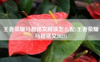 王者荣耀马超铭文应该怎么配(王者荣耀马超铭文2022)