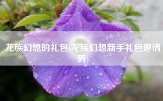 龙族幻想的礼包(龙族幻想新手礼包邀请码)