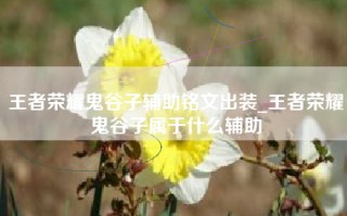王者荣耀鬼谷子辅助铭文出装_王者荣耀鬼谷子属于什么辅助