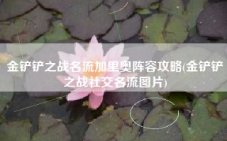 金铲铲之战名流加里奥阵容攻略(金铲铲之战社交名流图片)