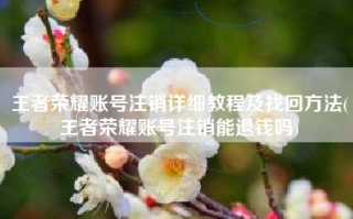 王者荣耀账号注销详细教程及找回方法(王者荣耀账号注销能退钱吗)