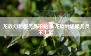 龙族幻想服务员不给酒(龙族幻想服务员不上菜)