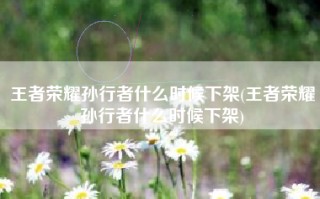 王者荣耀孙行者什么时候下架(王者荣耀孙行者什么时候下架)