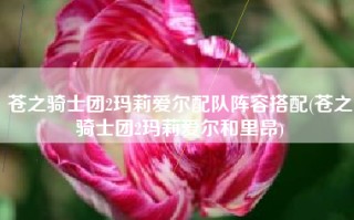 苍之骑士团2玛莉爱尔配队阵容搭配(苍之骑士团2玛莉爱尔和里昂)