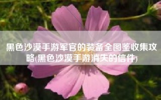 黑色沙漠手游军官的装备全图鉴收集攻略(黑色沙漠手游消失的信件)