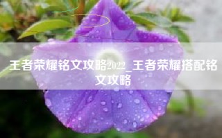 王者荣耀铭文攻略2022_王者荣耀搭配铭文攻略