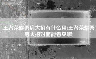 王者荣耀桑启大招有什么用(王者荣耀桑启大招对面能看见嘛)
