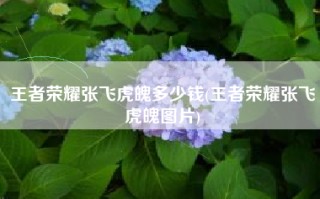 王者荣耀张飞虎魄多少钱(王者荣耀张飞虎魄图片)