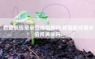 碧蓝航线黛朵值得培养吗(碧蓝航线黛朵值得满破吗)