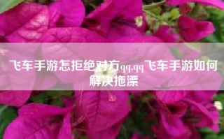 飞车手游怎拒绝对方qq,qq飞车手游如何解决拖漂