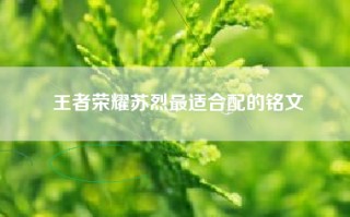 王者荣耀苏烈最适合配的铭文