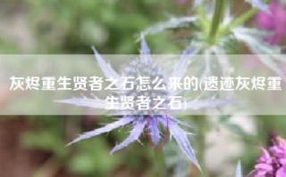 灰烬重生贤者之石怎么来的(遗迹灰烬重生贤者之石)