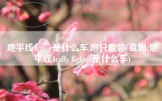 地平线4raesr是什么车,附只能装c盘吗(地平线4rally fighter是什么车)