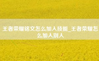 王者荣耀铭文怎么加入技能_王者荣耀怎么加入别人