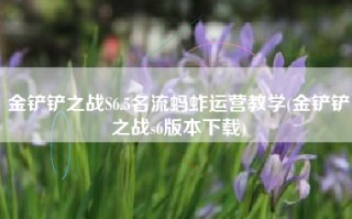 金铲铲之战S6.5名流蚂蚱运营教学(金铲铲之战s6版本下载)
