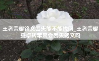 王者荣耀铭文丢失能不能找回_王者荣耀安卓转苹果会丢失铭文吗