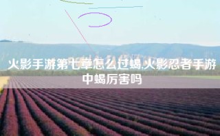 火影手游第七章怎么过蝎,火影忍者手游中蝎厉害吗