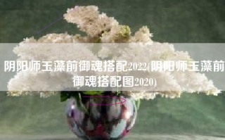 阴阳师玉藻前御魂搭配2022(阴阳师玉藻前御魂搭配图2020)