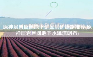 原神层岩巨渊地下矿区采矿线路推荐(原神层岩巨渊地下水泽流明石)
