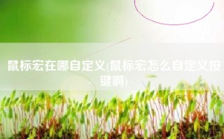 鼠标宏在哪自定义(鼠标宏怎么自定义按键啊)