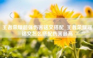 王者荣耀超强伤害铭文搭配_王者荣耀瑶铭文怎么搭配伤害最高