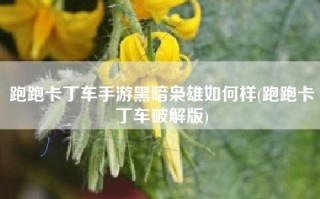跑跑卡丁车手游黑暗枭雄如何样(跑跑卡丁车破解版)