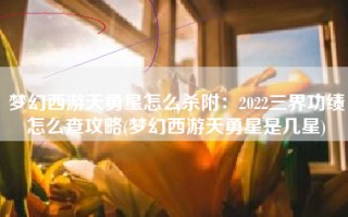 梦幻西游天勇星怎么杀附：2022三界功绩怎么查攻略(梦幻西游天勇星是几星)