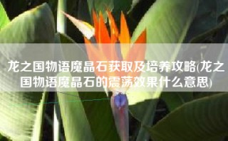 龙之国物语魔晶石获取及培养攻略(龙之国物语魔晶石的震荡效果什么意思)