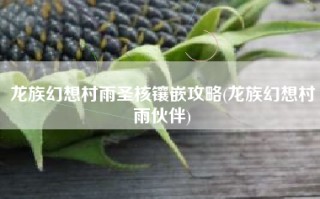 龙族幻想村雨圣核镶嵌攻略(龙族幻想村雨伙伴)