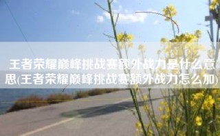王者荣耀巅峰挑战赛额外战力是什么意思(王者荣耀巅峰挑战赛额外战力怎么加)