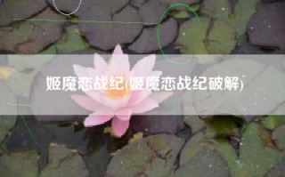 姬魔恋战纪(姬魔恋战纪破解)