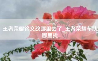 王者荣耀铭文改哪里去了_王者荣耀车队哪里找