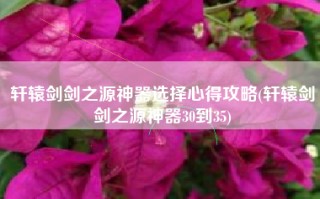 轩辕剑剑之源神器选择心得攻略(轩辕剑剑之源神器30到35)