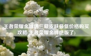 王者荣耀金蝉唐三藏皮肤最低价格购买攻略(王者荣耀金蝉绝版了)