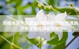 灵魂潮汐米涅德温技能解析攻略(灵魂潮汐米涅德温技能搭配)