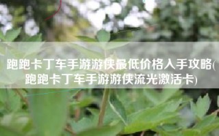 跑跑卡丁车手游游侠最低价格入手攻略(跑跑卡丁车手游游侠流光激活卡)