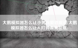 大鹅模拟器怎么让小男孩戴错眼镜(大鹅模拟器怎么让人打碎漂亮花瓶)