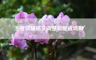 王者荣耀铭文调整后能返场吗