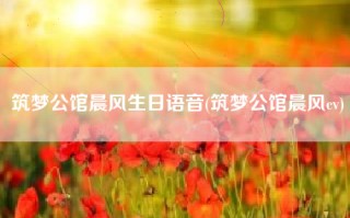筑梦公馆晨风生日语音(筑梦公馆晨风cv)