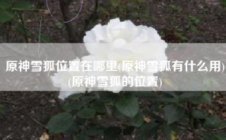 原神雪狐位置在哪里(原神雪狐有什么用)(原神雪狐的位置)