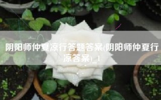 阴阳师仲夏凉行答题答案(阴阳师仲夏行凉答案)_1