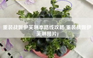 重装战姬伊芙琳本路线攻略(重装战姬伊芙琳图片)